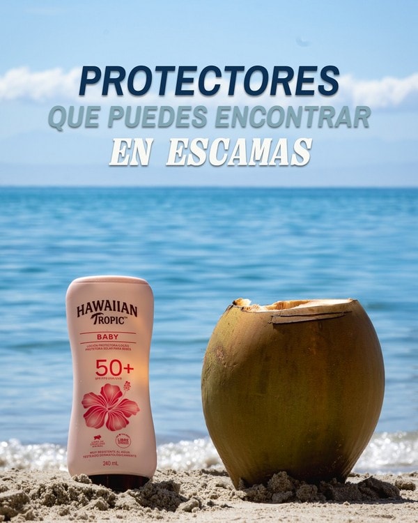 ESCAMAS -  distribuidoras de alimentos