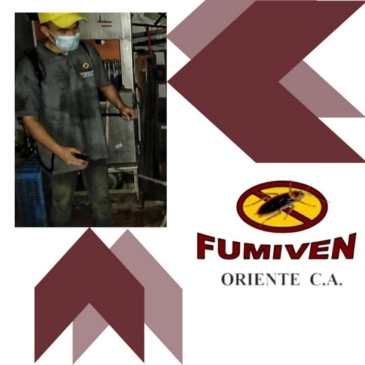 FUMIVEN ORIENTE -  chiripas